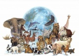 «День защиты прав животных»